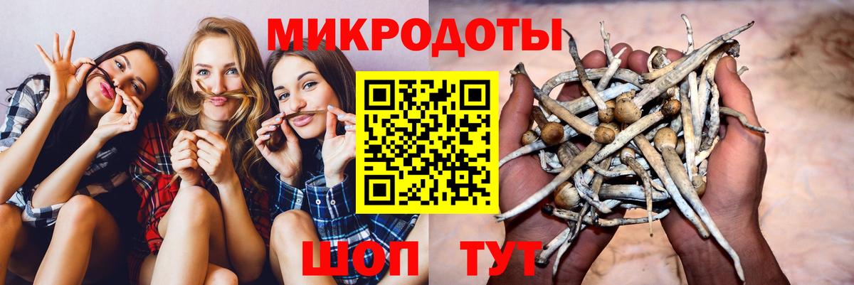 Псилоцибиновые грибы MAGIC MUSHROOMS Волхов