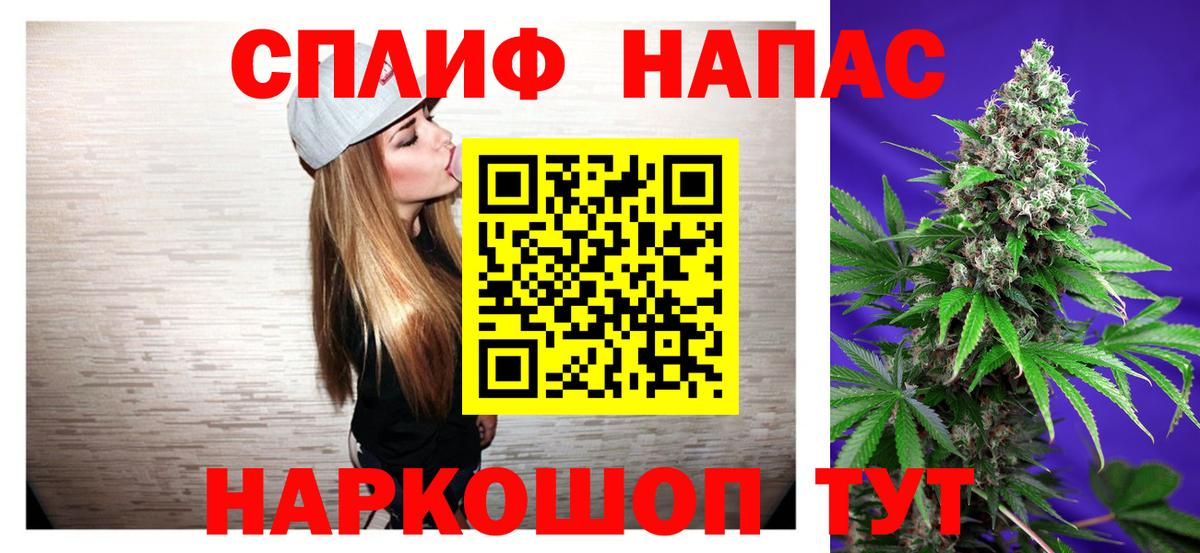 Марихуана планчик  Вход с VPN  Волхов  Шишки марихуана THC 21% 